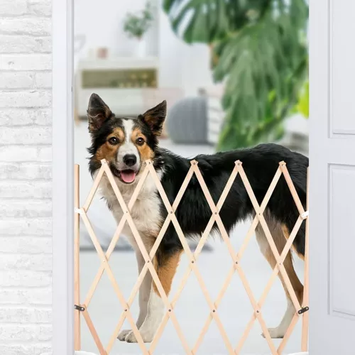 Barrera extensible para puerta de perro, pantalla de protección de  seguridad plegable, acordeón