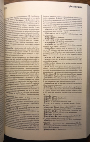 Diccionario De La Lengua Española Real Acad Esp 22ed Espasa (Usado)