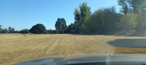 Parcelas Planas A 30 Minutos De Valdivia