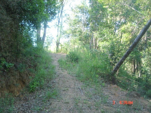 Imagen 21 de 21 de Camino Nonguen S / N , Sector Reserva De Nonguen Concepc...