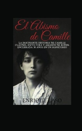 Libro : El Abismo De Camille La Terrible Historia De Camill