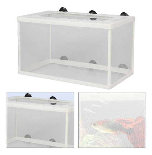 Caja De De Peces, De Desove Juvenil, Malla De Incubación De