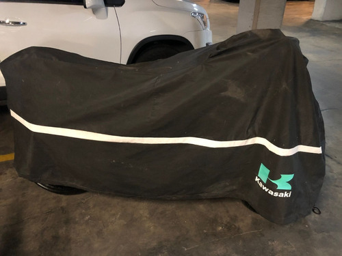 Imagen 15 de 15 de Kawasaki Ninja 300 Edición Limitada Con Abs 2016