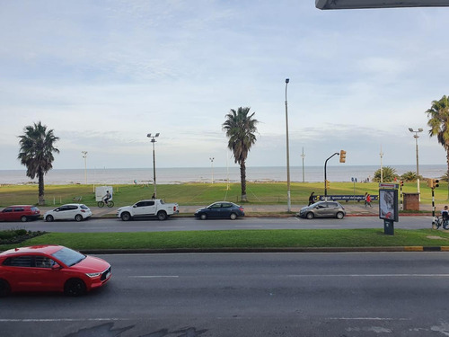 Imagen 4 de 20 de Rambla De Punta Carretas, 1 Dormitorio, Amplio Patio Y Amenities !!