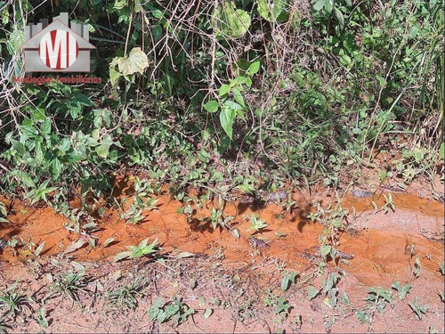 Imagem 25 de 30 de Linda Chácara Com 3 Dormitórios, Piscina, Córrego, Pomar, Ótimo Bairro, À Venda, 12000 M² Por R$ 800.000 - Zona Rural - Pinhalzinho/sp - Ch0833