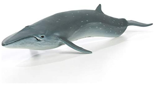 Safari Ltd. Sea Life - Sei Whale - Ftalato, Plomo Y Libre De