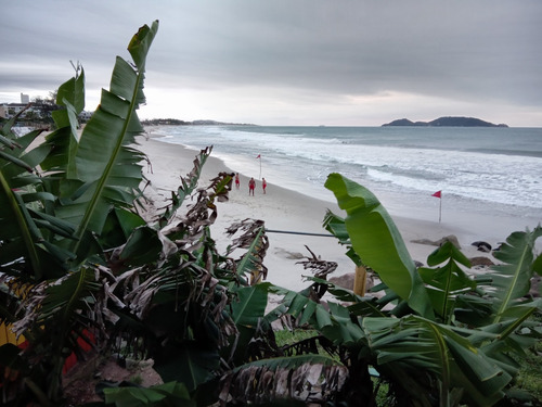 Imagen 2 de 10 de Alquiler 4 Personas En Morro Das Pedras Florianópolis