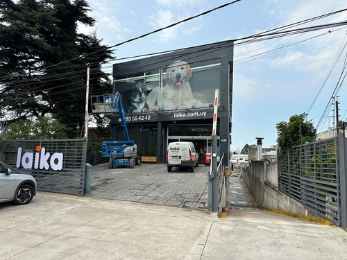 Importante Local Comercial Rentado Sobre Av. Italia