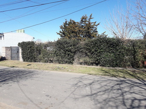 Hermosa Casa Quinta En Juan Maria Gutierrez, Lote De 20x35