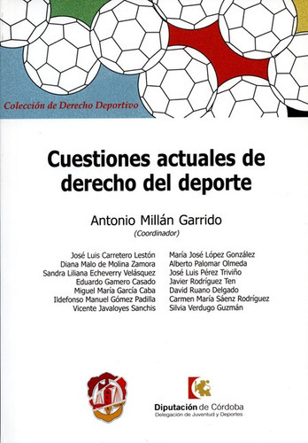 Libro Cuestiones Actuales De Derecho Del Deporte