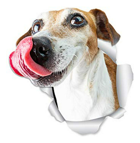 Pegatinas 3d Jack Russell - Pack 2