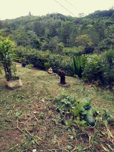 Imagem 23 de 23 de Chácara À Venda Em Juquitiba - 443 - 34887456