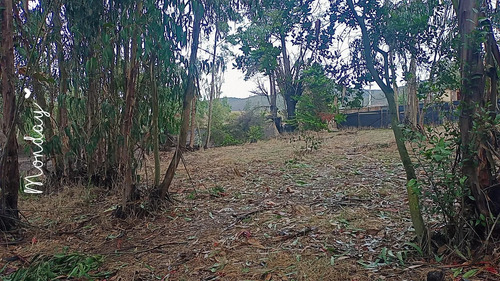 Se Vende Terreno En Valle Alegre, Quintero.