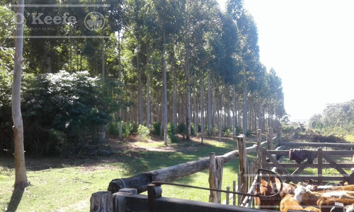 Imagen 2 de 17 de Campo - General Alvear