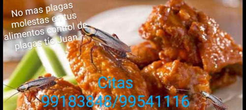 Campaña Nacional De Erradicación De Sancudo Transmisor De De