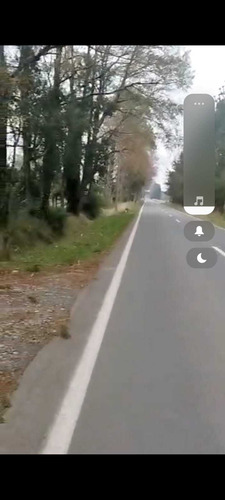 A Minutos Playa Coique Lago Ranco (88260)