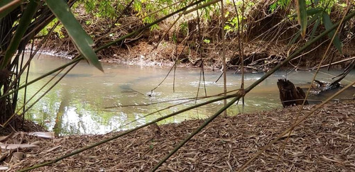 Imagem 12 de 27 de Sitio Com 2 Hectares A 4 Km Do Asfalto São João Da Boa Vista 600.000,00 - 33606