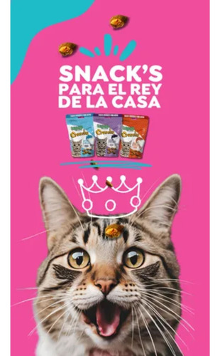 Galletas Crunchy Cobertura Catnip Rellenas De Carne 3 X 50 G