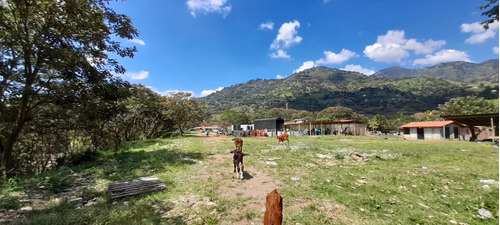 Venta De Lote Industrial En Girardota, Antioquia