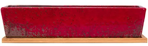 Maceta Rectangular Grande Para Suculentas Con Bandeja De Bam