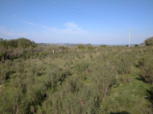 Campo Pintoresco, Con Altura, Cañada