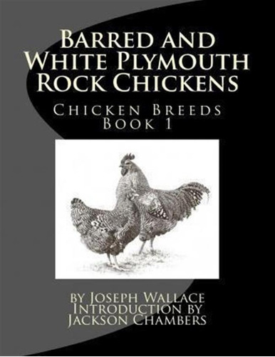 Barred And White Plymouth Rock Chickens - Joseph Wallace