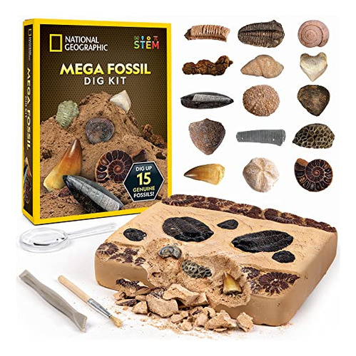 National Geographic Mega Fossil Dig Dig Kit - Excavate 15 Fó