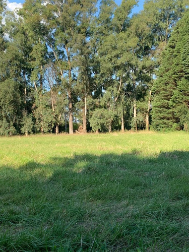 Imagen 29 de 30 de Hermoso Campo 14 Hectáreas