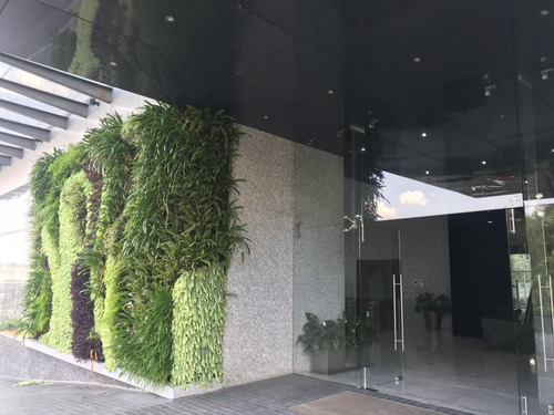 Imagen 2 de 16 de Corporativo En Renta O Venta