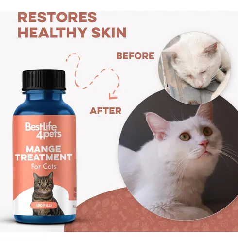 Tratamiento Natural Para Ácaros Del Oído En Gatos