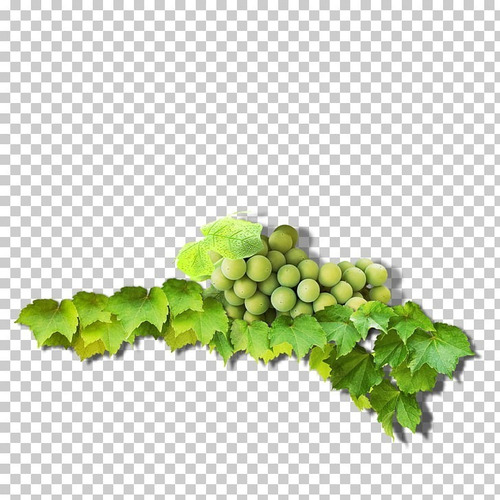 Uva Enano Verde O Morada Pd