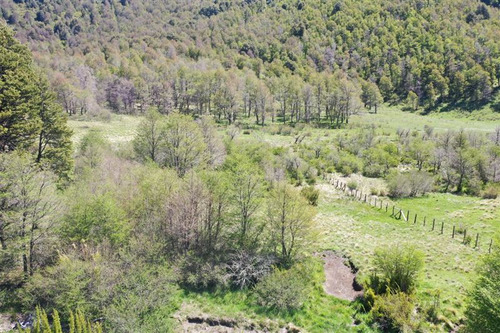 Terreno 7.000 M2 Orilla De Río, Caracoles, Malalcahuello