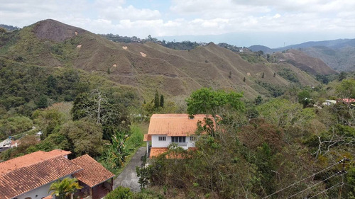 Terreno De 15 Has En El Amarillo San Antonio De Los Altos