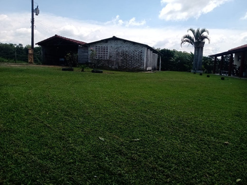 Imagem 25 de 30 de Sitio 8,6 Alqueires,casa Com 2 Quartos Sendo 1 Suíte Cozinha Sala Lavanderia Garagem Para Até 3 Veículos Ótimas Estruturas, Mangueira De Repartição De Gado,embarcador, Sítio Bem Cu - St00071 - 694706