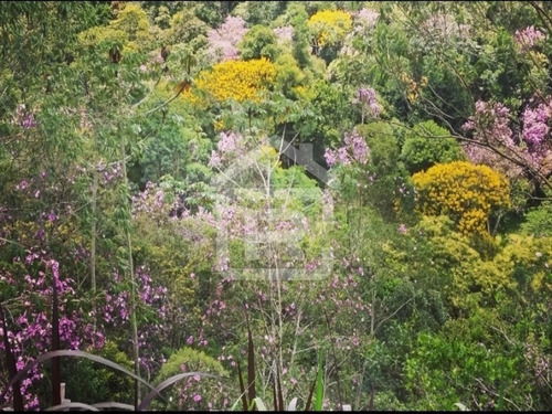 Imagem 24 de 30 de Lindo Sitio Com Uma Maravilhosa Vista No Alto Do Morro Tendo Uma Linda Vista Para O Pôr Do Sol - 113 - 69319003