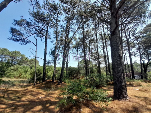 Imagen 9 de 16 de Venta De Lote En Barra Verde, La Barra, Uruguay - La Barra Barra Verde