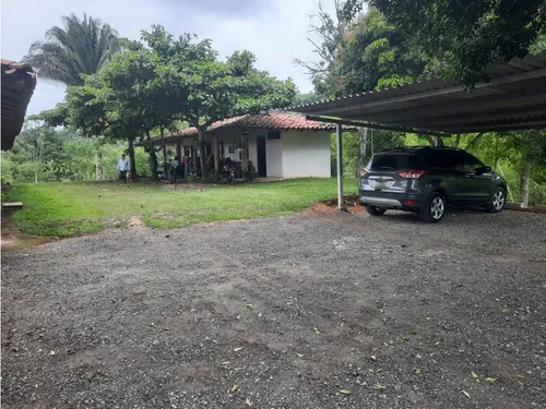 Venta Finca La Tebaida Cultivada En Pasto - 40 Cuadras