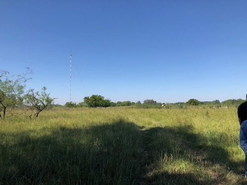Imagen 9 de 12 de Venta Fracción De Campo Con Mejoras En San Miguel Del Monte