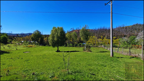 Parcela Con 2 Casas Y 8000m2 De Terreno (126968)
