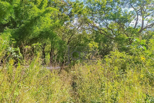 Chácara À Venda, 20000 M² Por - Bosques De Notre Dame - Campinas/sp - Ch0550