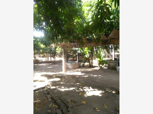 Imagen 6 de 12 de Casa Sola En Venta Zihuatanejo (ixtapa-zihuatanejo)
