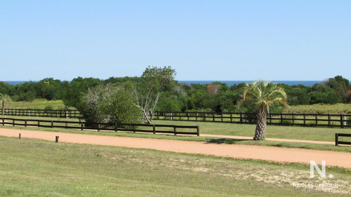 Terreno En Venta En Las Garzas.