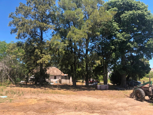 Gran Ubicación!! Venta De Galpón De 400 M2 Y Oficinas A Metros De Ruta 1, Ecilda Paullier.