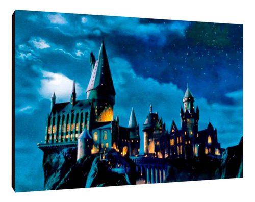 Cuadros Poster Harry Potter Hogwarts M 20x29 (hog (7))