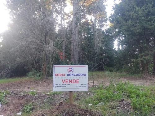 Imagen 1 de 4 de Lote C/ Forestación, Muy Bien Ubicado, En Mar Azul, Apto Para 2 Unidades