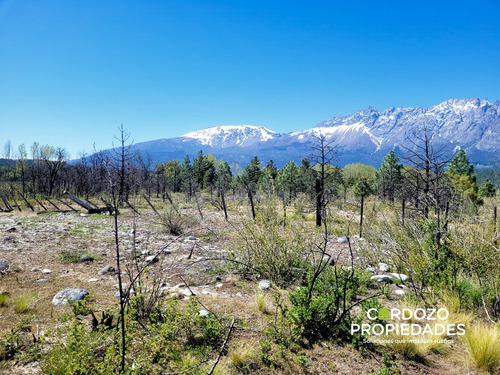 En Venta Lote De 4.000 M2. Paraje Entre RÃos, Lago Puelo, Chubut.