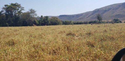 Fazenda De Gado Arinos Mg 2.250 Hectares 65.000,000,00 - 38491