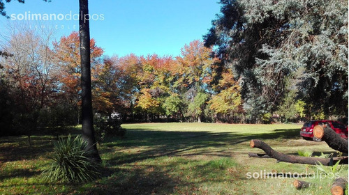 Imagen 7 de 18 de Excelente Terreno De 7500 M2 - Villa Rosa