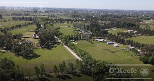 Imagen 14 de 19 de Moderna Casa Quinta A Estrenar En Venta A 1 Hs De Caba - Estancia Las Malvinas - Brandsen