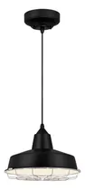 Comprar Westinghouse Lámpara De Techo Colgante Led De 1 Luz, 13 W,